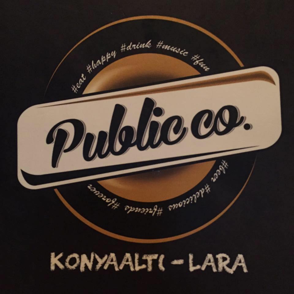 Public Lara logo