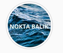 Nokta Balık logo